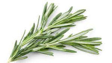 Load image into Gallery viewer, Rosemary