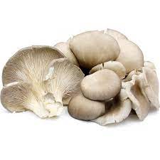 Mushrooms - Oyster punnet